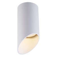 ACGU10-138 Zumaline TUBIA