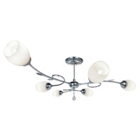 CL14083-6 Zumaline ROCHA